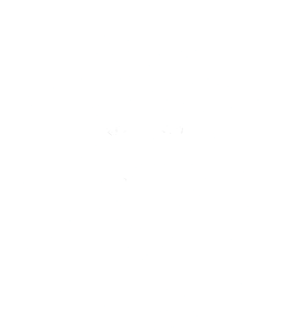 PUNIKS GENESIS Logo